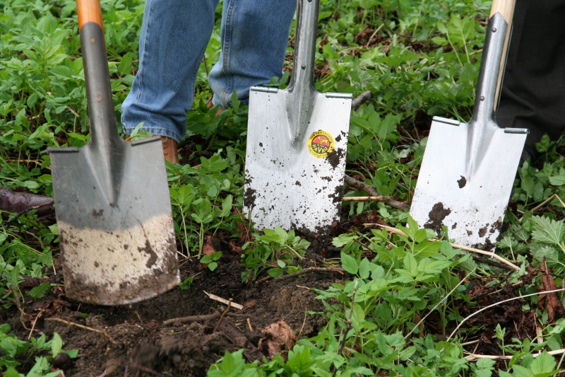 pepiniere-LUCERAM-min_work-lawn-flower-tool-green-backyard-1103633-pxhere.com